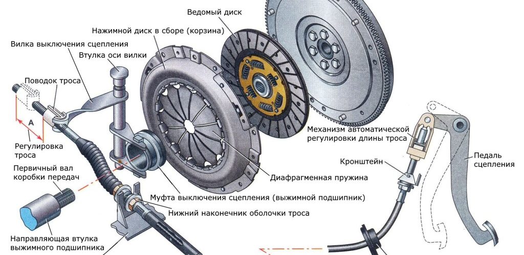 Сцепление